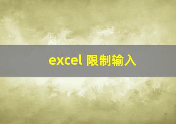 excel 限制输入